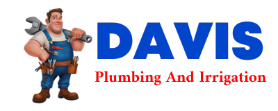 Trusted plumber in BENDAVIS